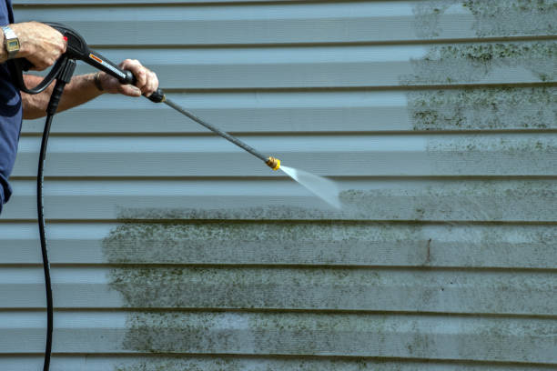 Best Animal Enclosure Cleaning  in El Paso, IL