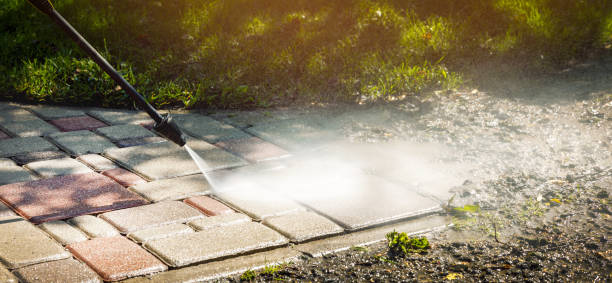 Best Driveway Pressure Washing  in El Paso, IL